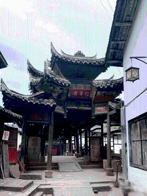 求此菌类的名称和简介。游戏画面